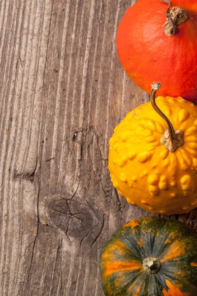 Three mini pumpkins — Stock Photo, Image