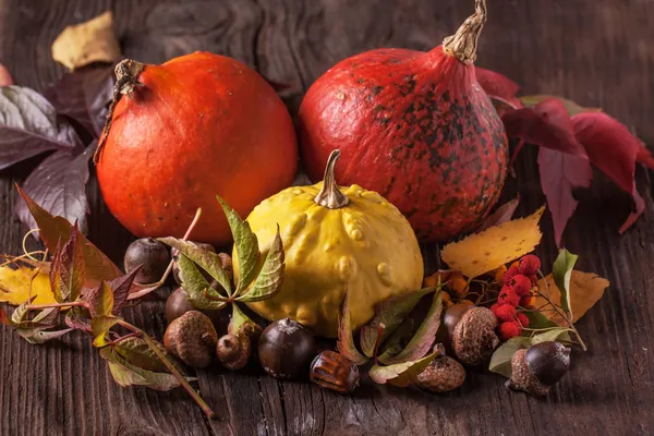 Pumpkins with acorns and leaves — Stock Photo, Image