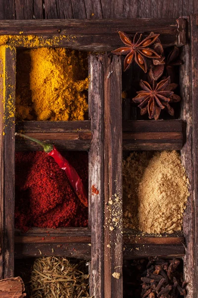 Baharat karışımı — Stok fotoğraf