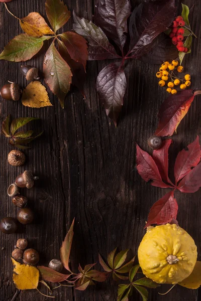 Zierstreifen aus Herbstblättern — Stockfoto