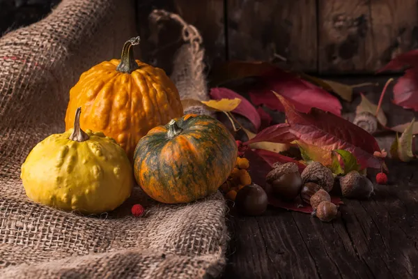 Pumpkins with acorns and leaves — Stock Photo, Image