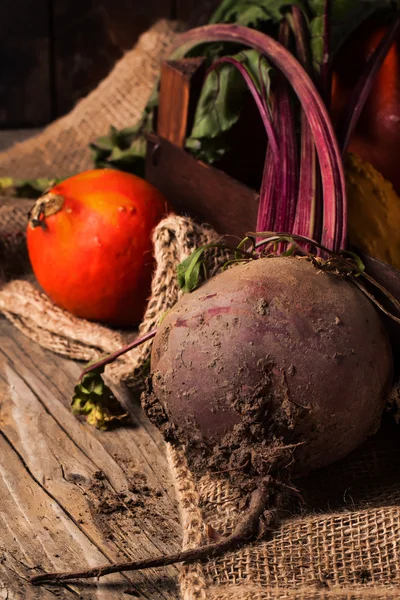 Pumpkins and beetroot — Stock Photo, Image