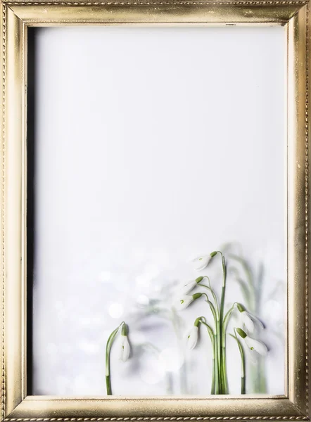 Gotas de nieve aisladas sobre blanco —  Fotos de Stock