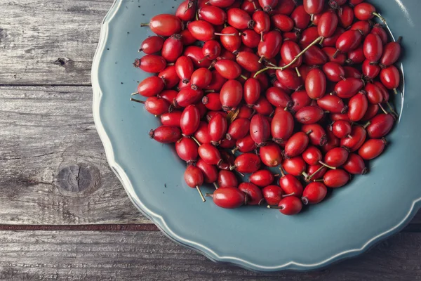 Plate of briar — Stock Photo, Image