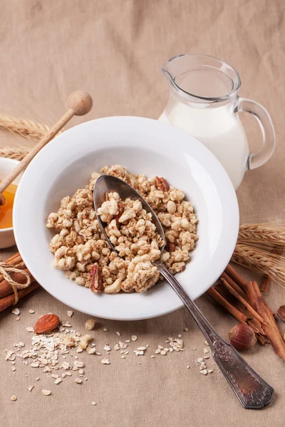 Muesli com leite e mel — Fotografia de Stock