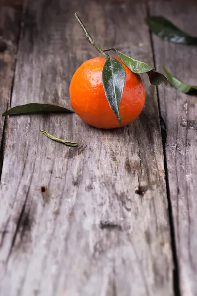 橘叶 — 图库照片