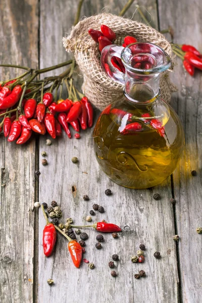 Olive oil with chili peppers — Stock Photo, Image