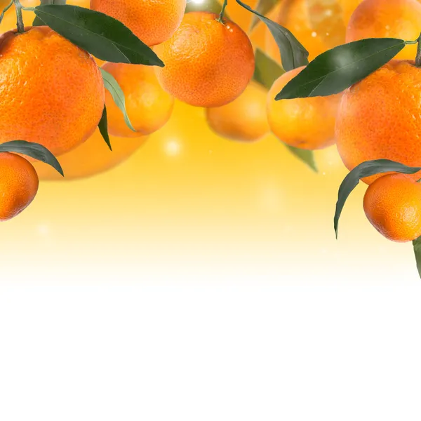 Antecedentes con mandarinas — Foto de Stock