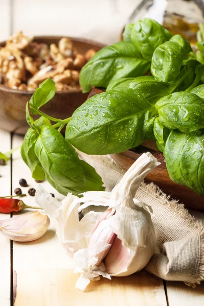 Basil, garlic and walnuts — Stock Photo, Image