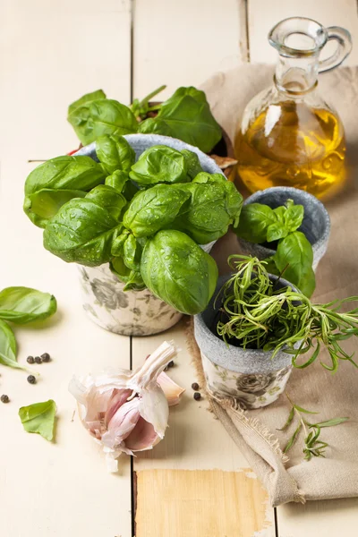 Albahaca, frutos secos y aceite de oliva —  Fotos de Stock