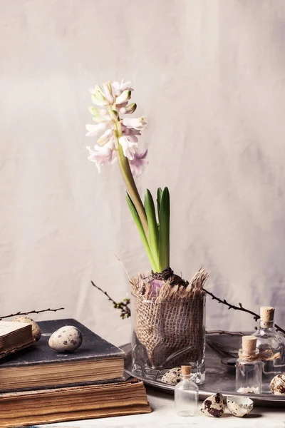 Pasen interieur met bloem en oude boeken — Stockfoto