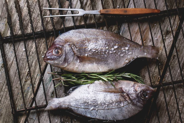 Tow raw fish with rosemary on grill — Stock Photo, Image