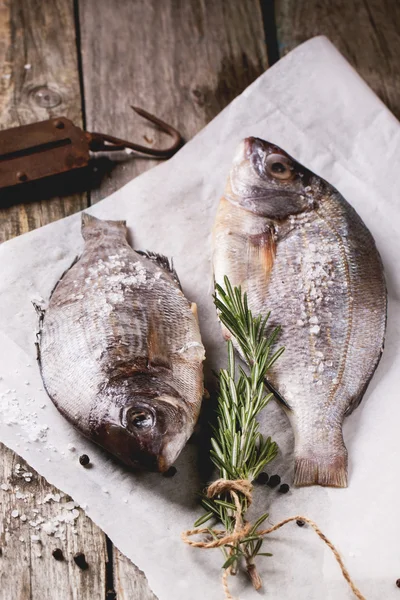 Schleppen Sie rohen Fisch mit Rosmarin — Stockfoto