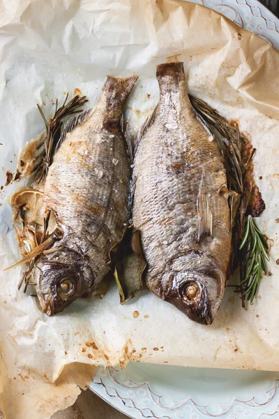 Tow grilled fish — Stock Photo, Image