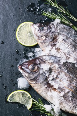 Siyah çiğ dorado balık rosemary ile yedekte