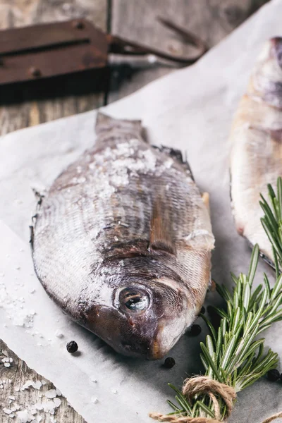 Raw dorado fish with rosemary — Stock Photo, Image