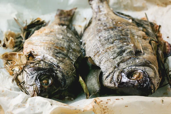 Schlepptau gegrillter Dorados — Stockfoto