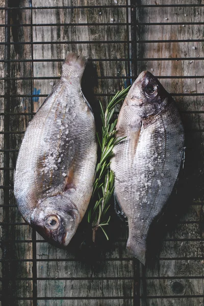 Tažení syrové ryby dorado s rozmarýnem na grilu — Stock fotografie