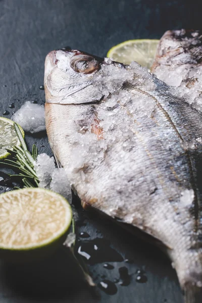 Tow raw dorado fish under with ice — Stock Photo, Image
