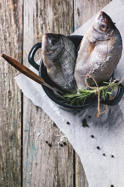 Tow raw fish with rosemary — Stock Photo, Image