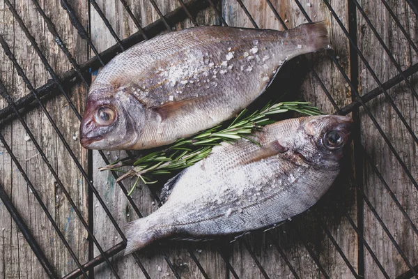 Tažení syrové ryby dorado s rozmarýnem na grilu — Stock fotografie