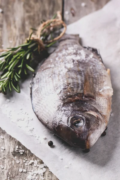 Raw dorado fish with rosemary — Stock Photo, Image