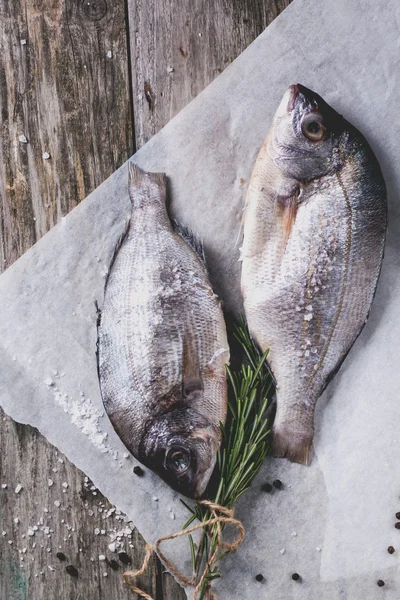 Tažení syrové ryby dorado s rozmarýnem — Stock fotografie