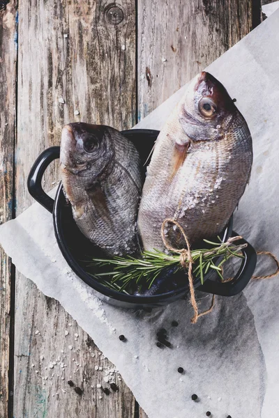 Tow raw fish with rosemary — Stock Photo, Image