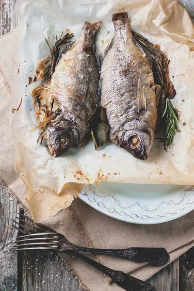 Tow grilled dorado fish — Stock Photo, Image