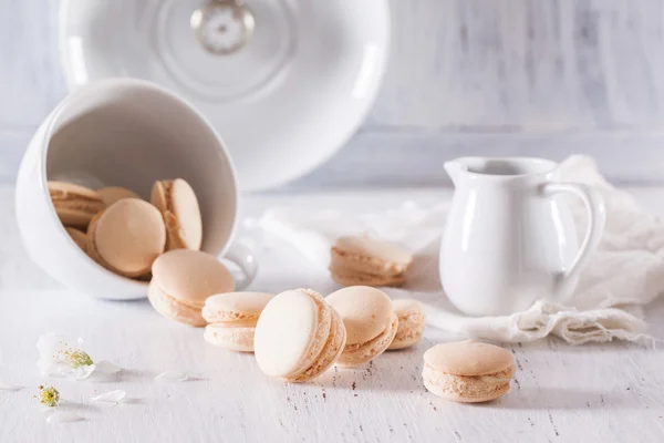 Macarons with apple flowers — Stock Photo, Image