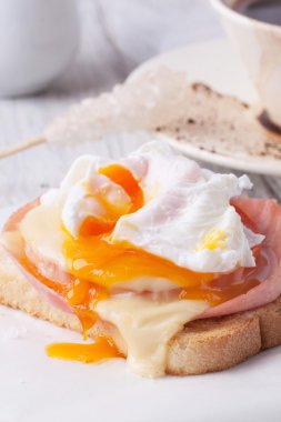peynir ve yumurta tost