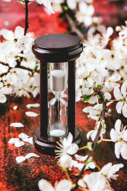 Vintage hourglass with blossom branch clipart