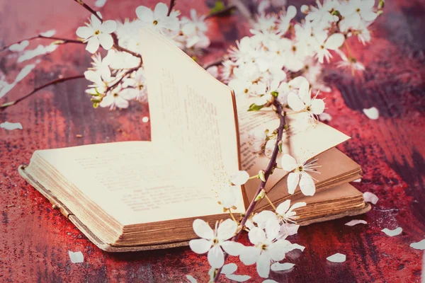 Bibbia vintage con ramo in fiore — Foto Stock