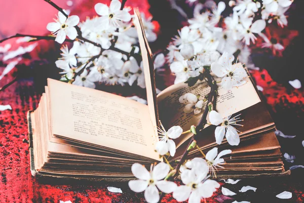 Vintage bible with blossom branch — Stock Photo, Image