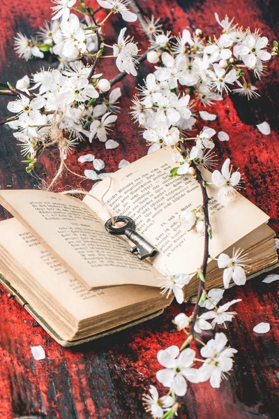 Vintage bible with blossom branch — Stock Photo, Image