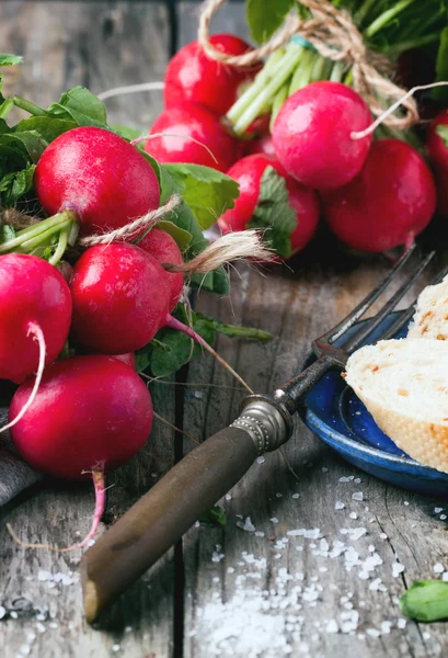 Färska rädisor med bröd — Stockfoto