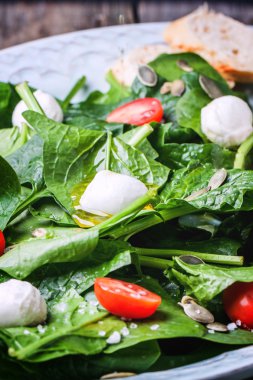 ıspanak, domates ve mozzarella salatası