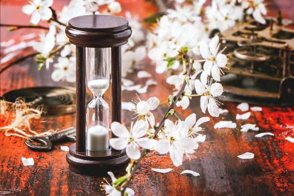 Винтажные песочные часы с цветущей веткой — стоковое фото
