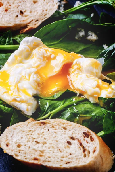 Poached egg and bread on spinach — Stock Photo, Image