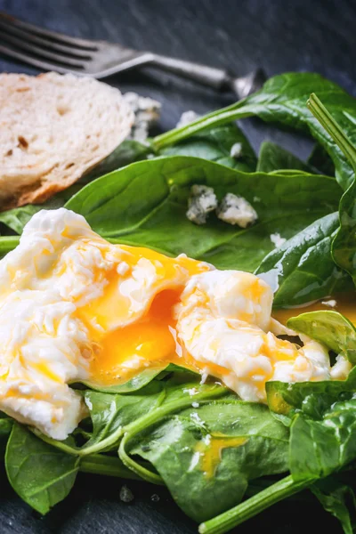 Poached egg on spinach — Stock Photo, Image
