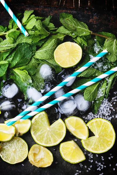 Ingredients fof mojito — Stock Photo, Image