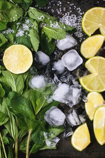 Ingredienser för mojito — Stockfoto