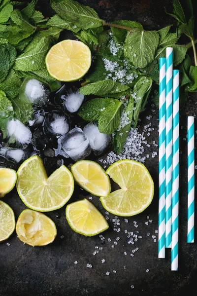 Mojito ingredients — Stock Photo, Image