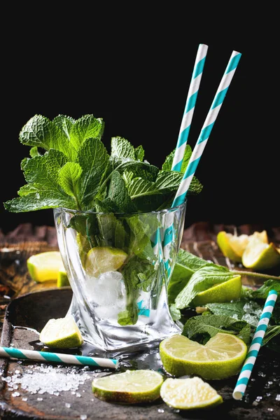Ingredients for mojito in glass — Stock Photo, Image