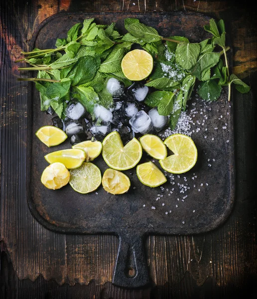 Mojito ingredienser — Stockfoto