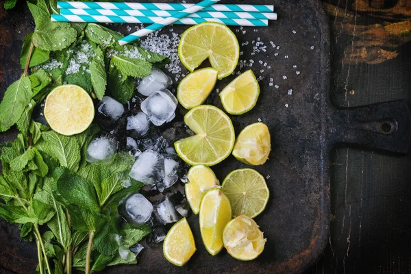 Ingredienser för mojito — Stockfoto