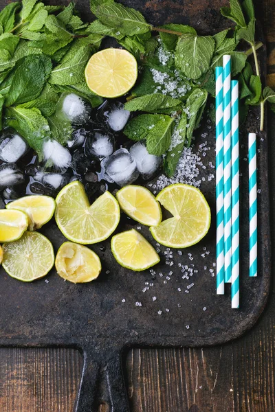 Ingredients for mojito — Stock Photo, Image