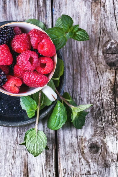 杯树莓和黑莓 — 图库照片