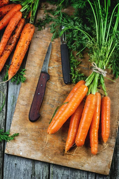 Bunch of carrots — Stock Photo, Image