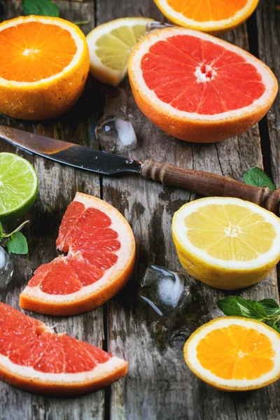 Uppsättning av skivade citrusfrukter — Stockfoto